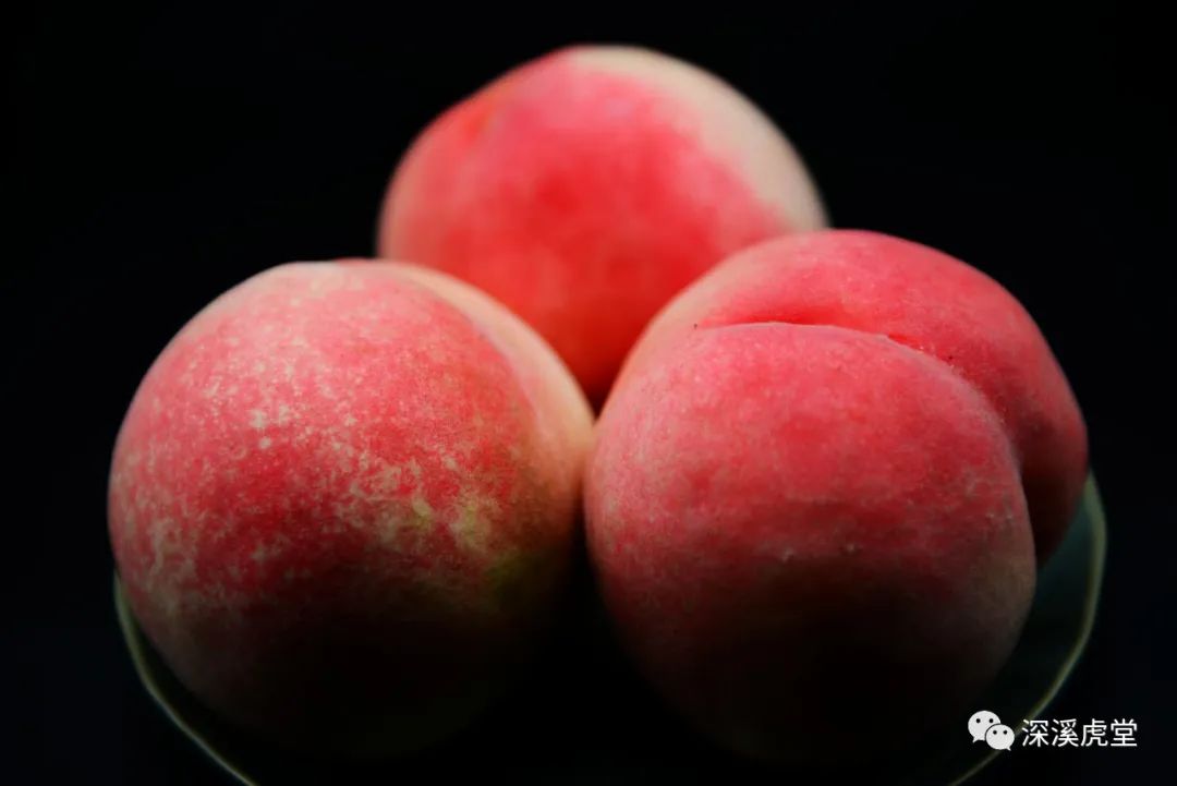 一颗水蜜桃,一颗水蜜桃糖可以做什么