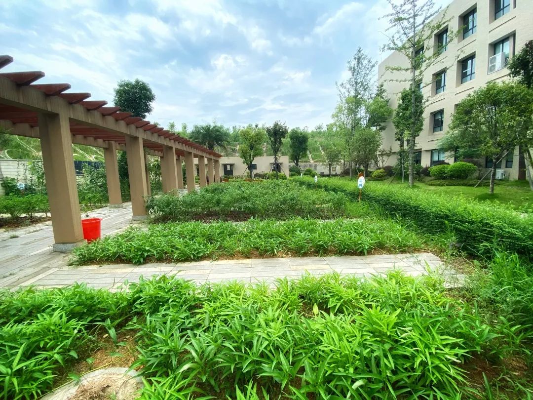 退台式教学楼、超大公共空间，怀化这所学校美得不像实力派