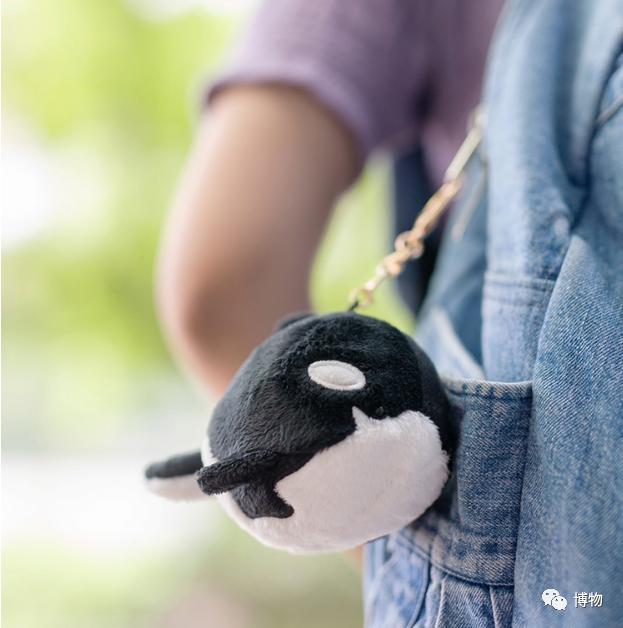 虎鲸饿起来为何连亲戚都吃,虎鲸投喂食物