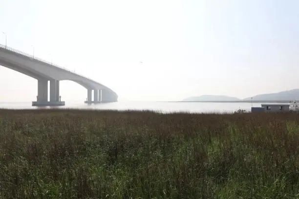 鍏泭璇夎娓呯悊鍥轰綋搴熺墿 (鍥轰綋搴熺墿姹℃煋姘存簮鍏泭璇夎)