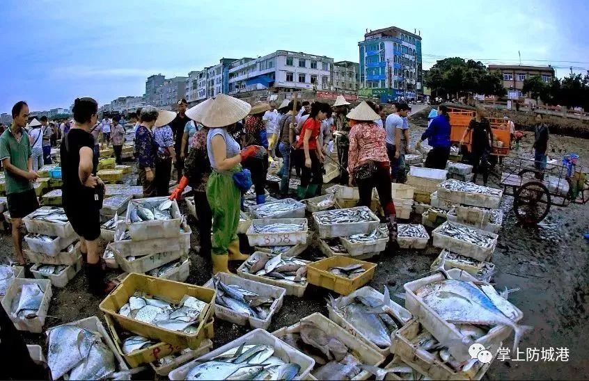 防城港哪里的海鲜便宜旅游攻略,沿海岸线走哪条旅游线最好