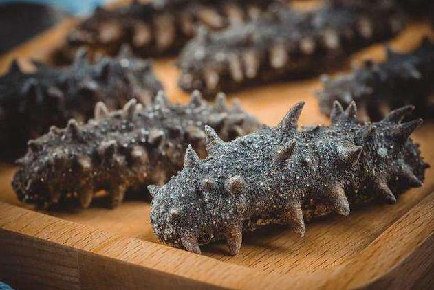 山东大型海参,山东哪个地方海参最多