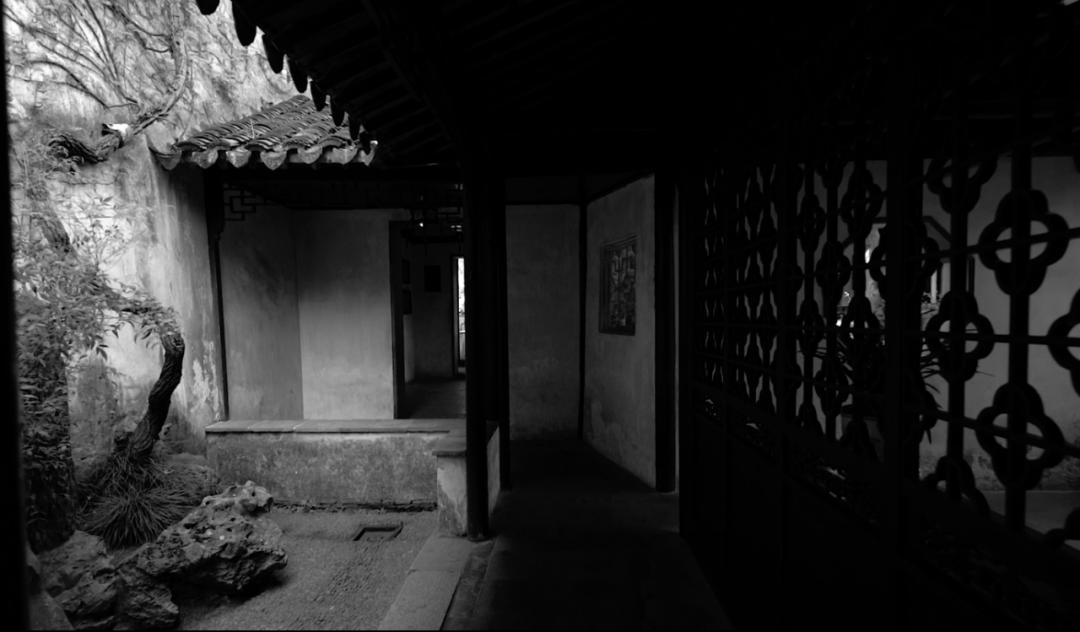 探索崇明东滩湿地公园的奥秘,崇明东滩湿地科研中心