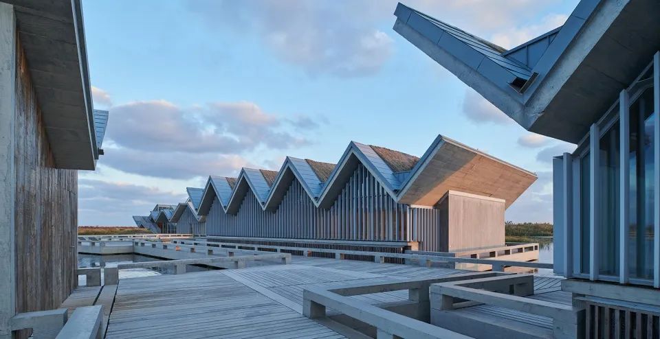 探索崇明东滩湿地公园的奥秘,崇明东滩湿地科研中心