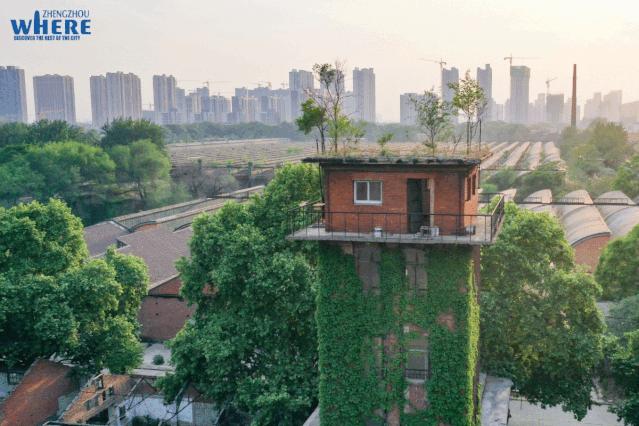 【双语听读】Zhengzhou,whyareyousocharming?郑州，为何如此迷人？