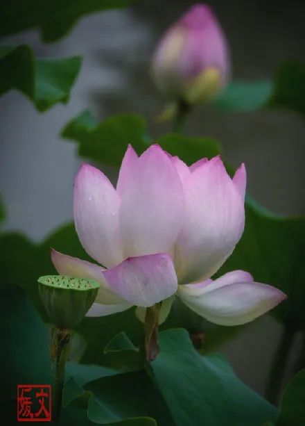 福州市节假日免费乘公交地铁,福州地铁公交周末节假日免费坐