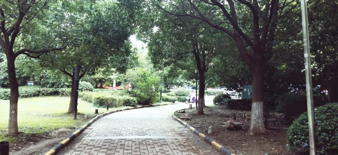 地段很好质量不好的房子,地段好配套全还是现房