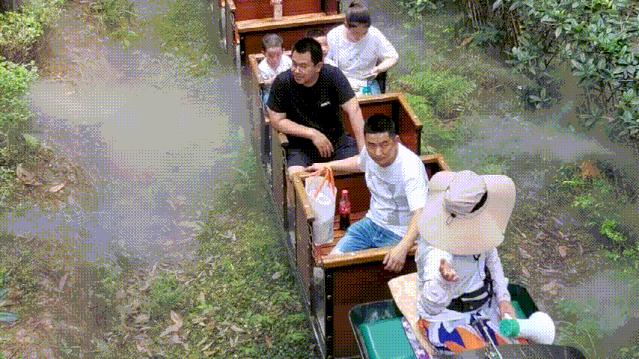 成都周边森林露营看萤火虫,成都周边森林公园露营