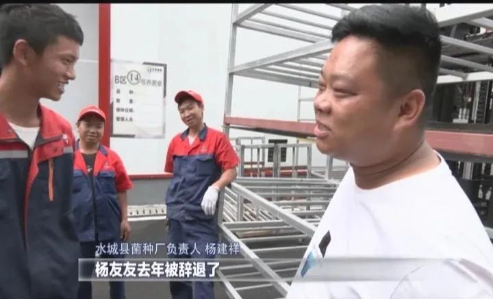 行与不行的感悟,行与不行之间意味着什么