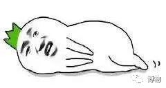 银耳在解放前的价格,银耳的巅峰之作