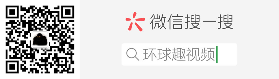 恐龙菊花长什么样,恐龙的最新研究成果