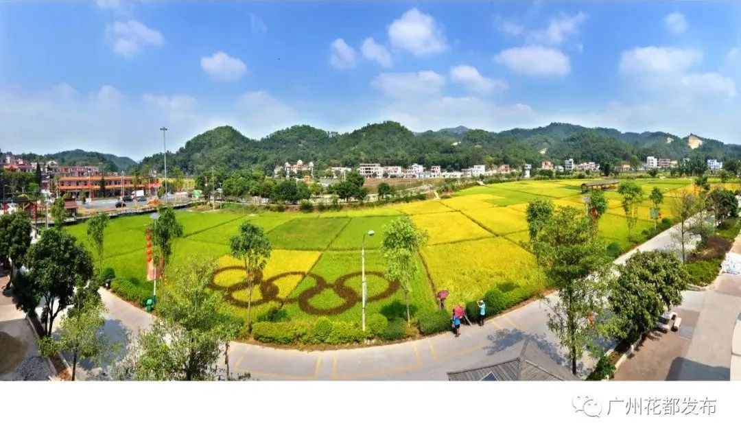 花都这些村超级棒!快来助力!