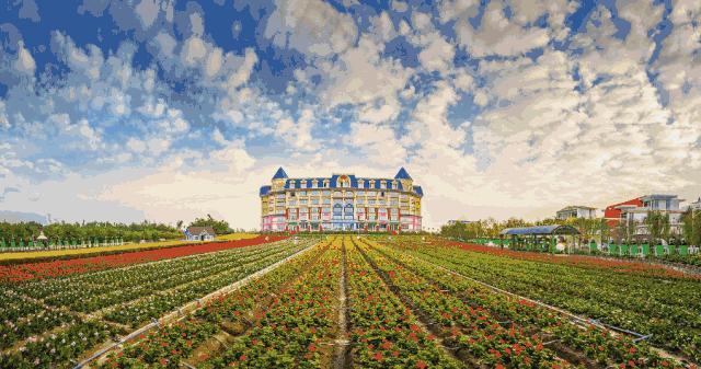 周末就能打卡的暑假超火亲子度假酒店，山林海景还有超大免费儿童乐园—广州南沙花园酒店亲子游记