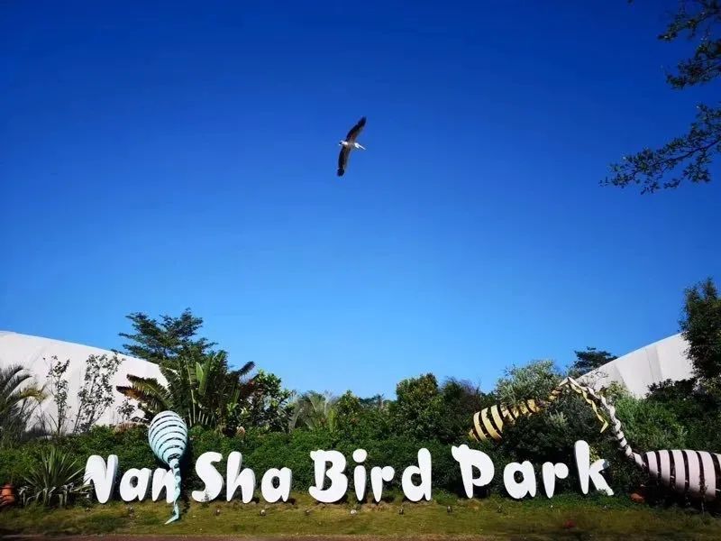 周末就能打卡的暑假超火亲子度假酒店，山林海景还有超大免费儿童乐园—广州南沙花园酒店亲子游记