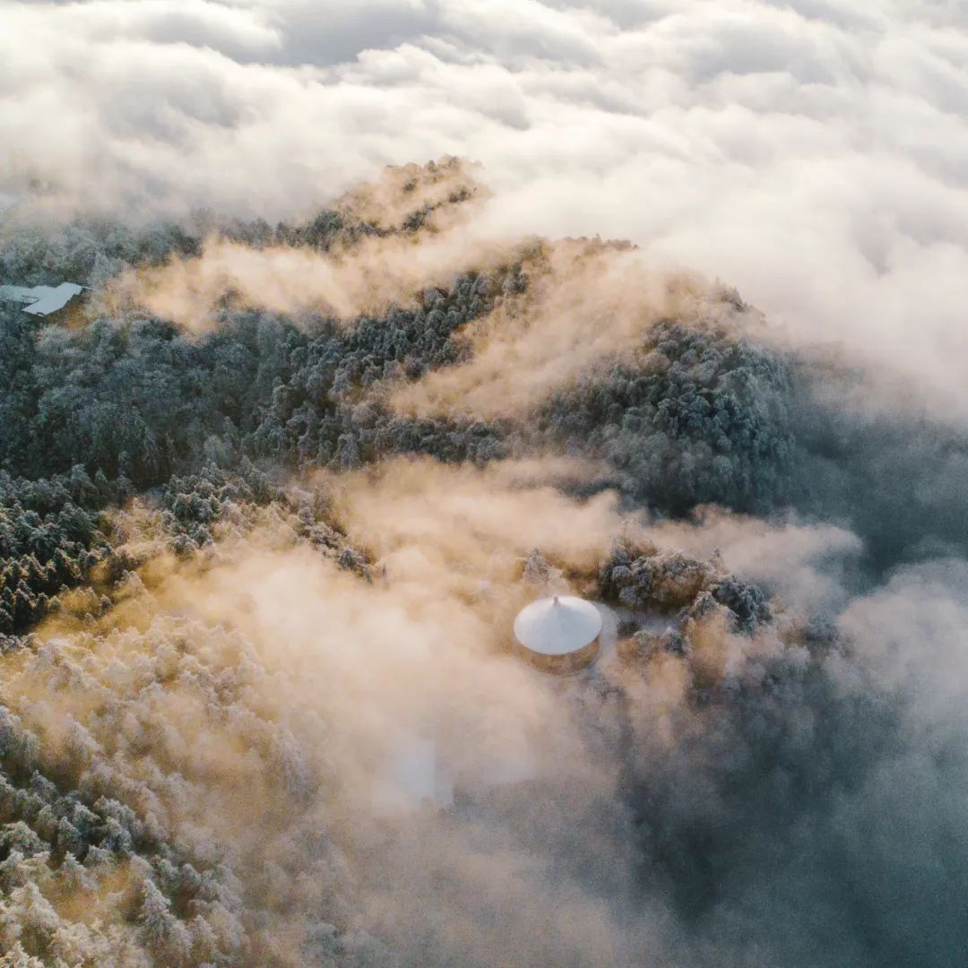 庐山真面目怎么辨别,庐山真面目近义词