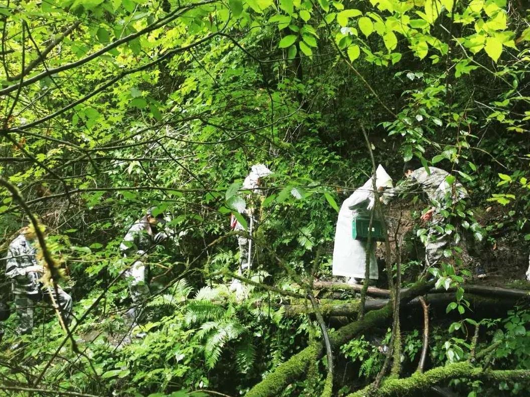 师大人的夏天，乘风破浪，站定C位！