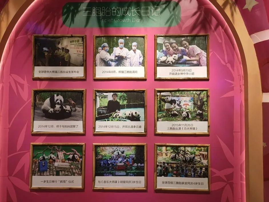 长隆乐园欢乐世界,广州长隆游玩注意事项