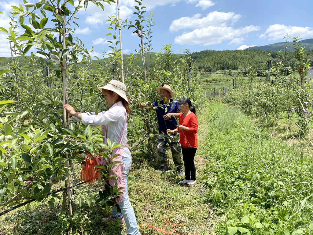 罗登报：下岗再创业带动群众走上脱贫致富路