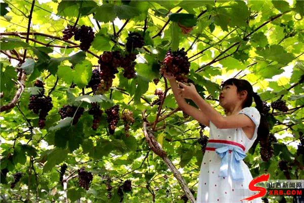 清凉旅游线路,清凉怡夏的视频