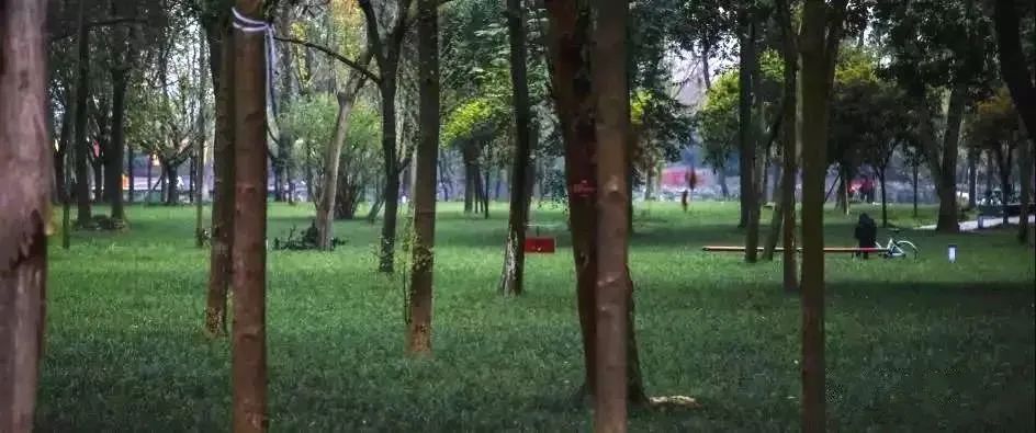 成都景点60岁以上免费门票,成都免费游玩景点推荐