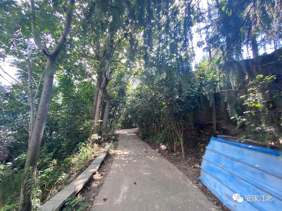 南京安置房排名前十,南京低容积率富人区