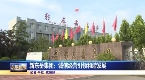 新东岳集团有限公司电话,东平县新东岳集团