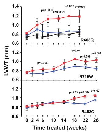 肥厚型心肌病特效新药强势来临：Mavacamten的前世、今生和未来｜安贞心语