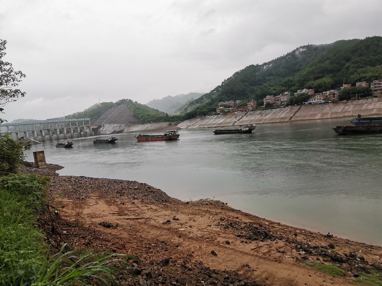 桂江野钓土鲮,广西桂江土鲮