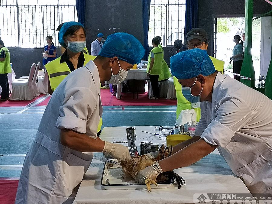 2020年全区动物防疫职业技能竞赛决赛在南宁举办