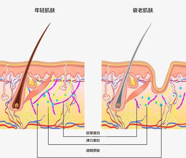 21天冲刺测评,21天报告
