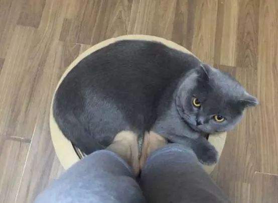 平板电脑能代替汽车中控吗,汽车升级中控还是买个平板好