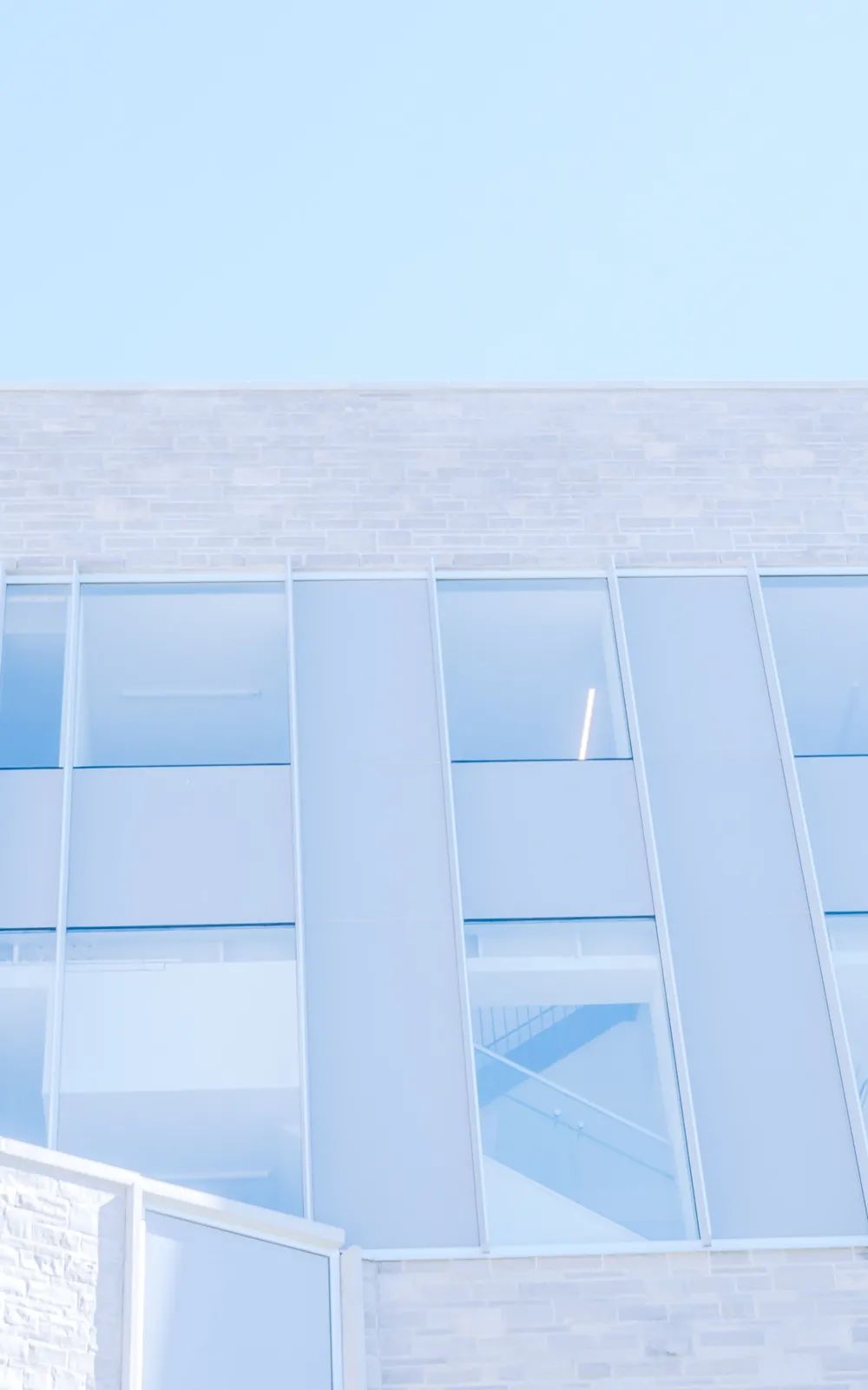 抗老真相,抗老的真相