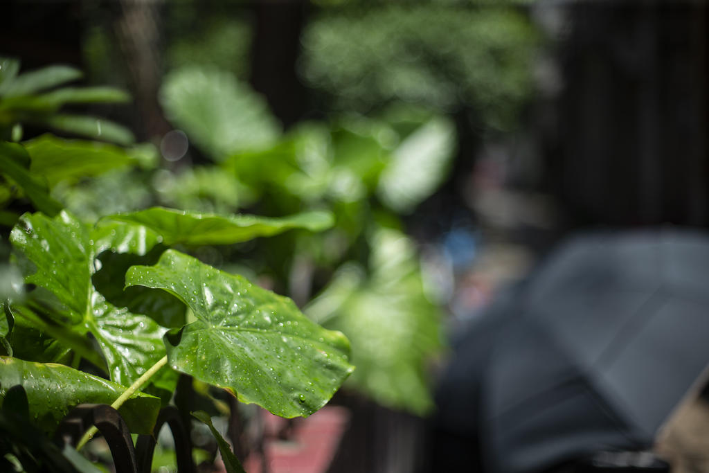 玩物不丧志创作的原声,玩物不丧志书法