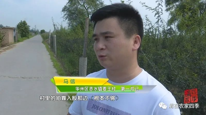 华州区赤水镇麦王村第一书记马信：好执行力炼就工作高标准