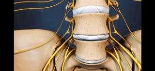 腰痛的真正原因是什么,腰痛要警惕五种原因