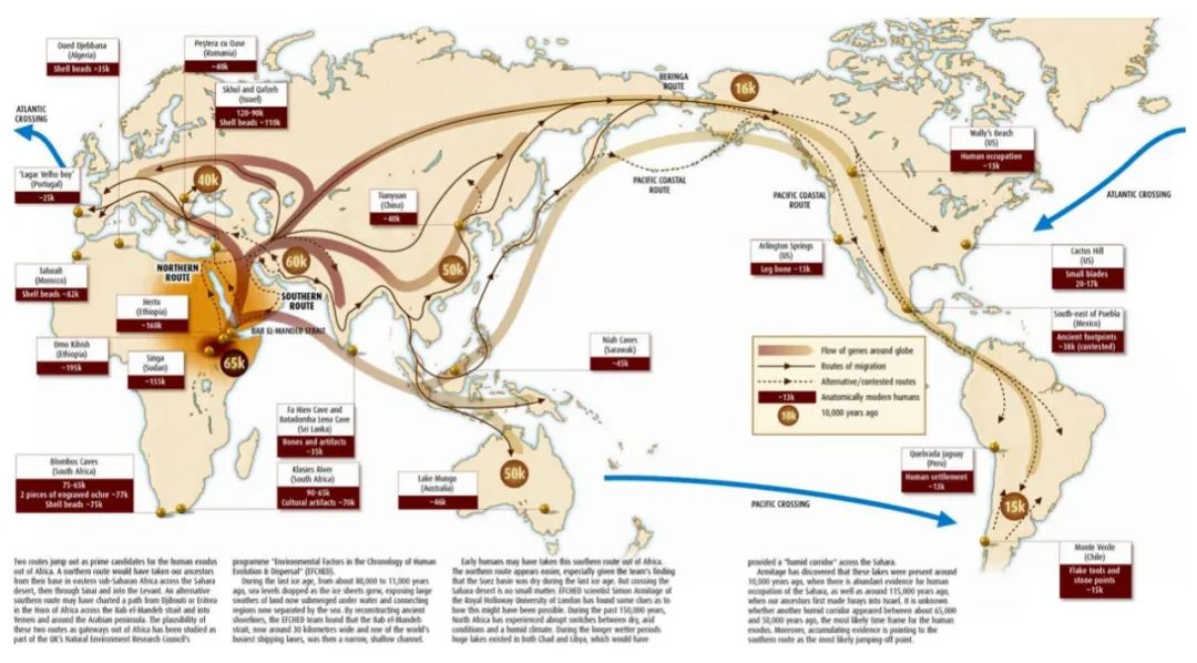 羊驼又叫什么神兽,羊驼为什么会排在十大神兽里