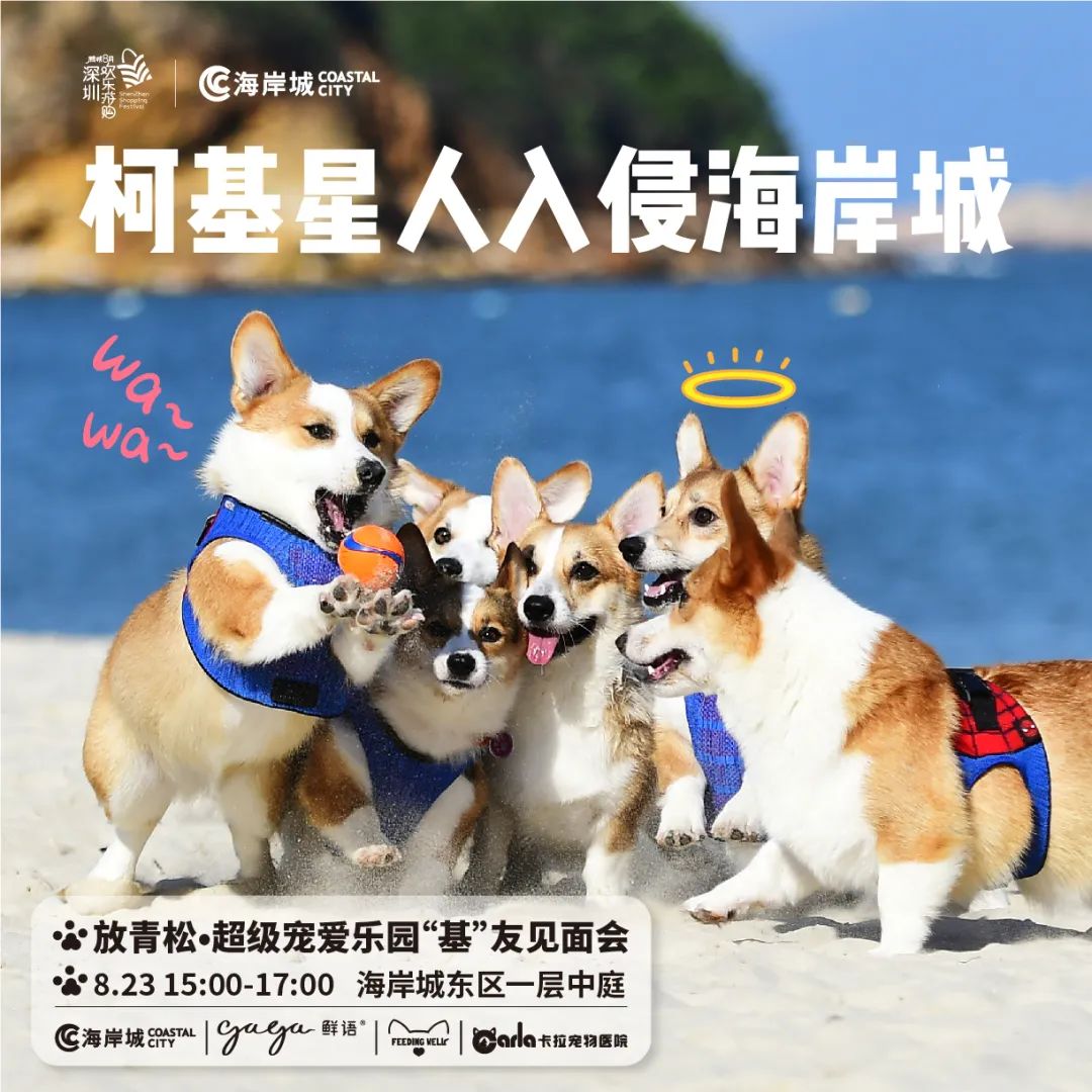 LOOK|海岸城更新·「宠物Mall」限时开放