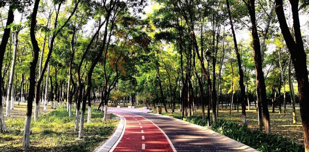 漫游新城|文化荟萃，景色怡人，在这里尽享公园慢时光