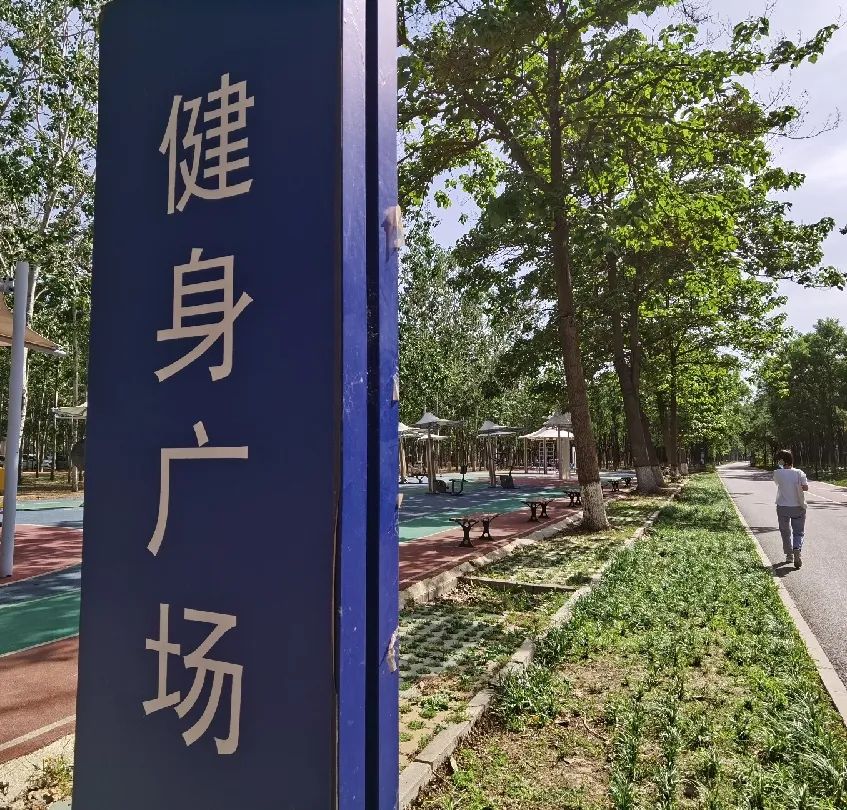 漫游新城|文化荟萃，景色怡人，在这里尽享公园慢时光