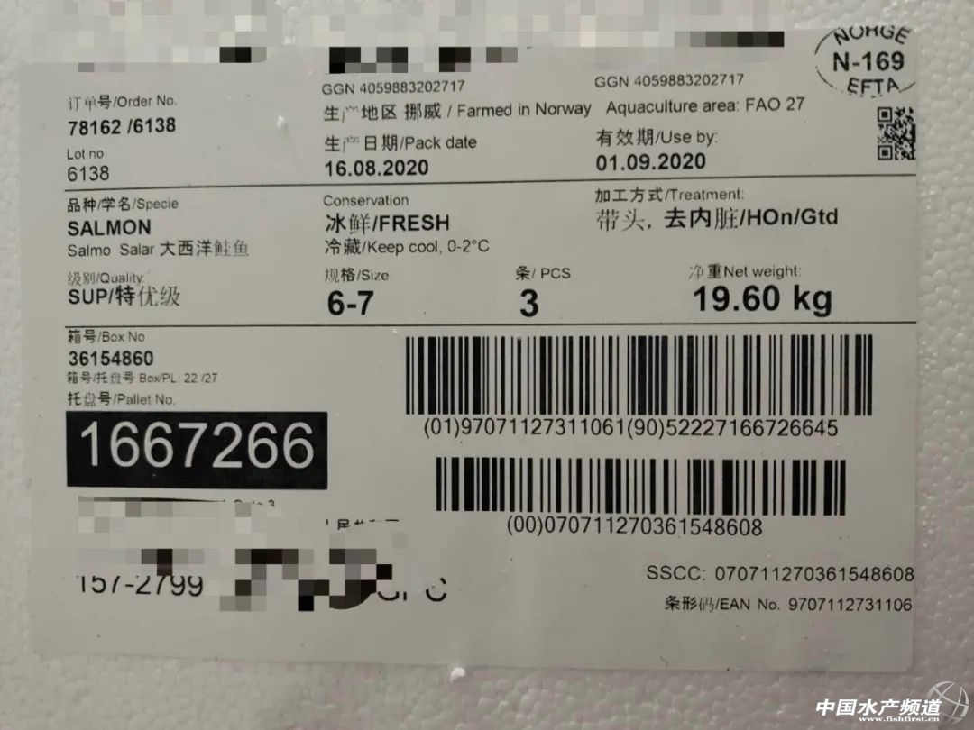 挪威三文鱼安全吗,挪威三文鱼空运过程