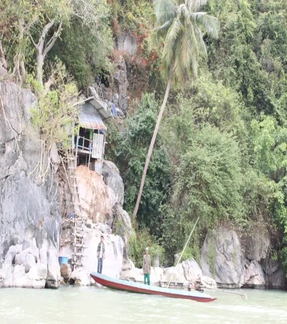 进口燕窝需要什么资质,燕窝的误区进口