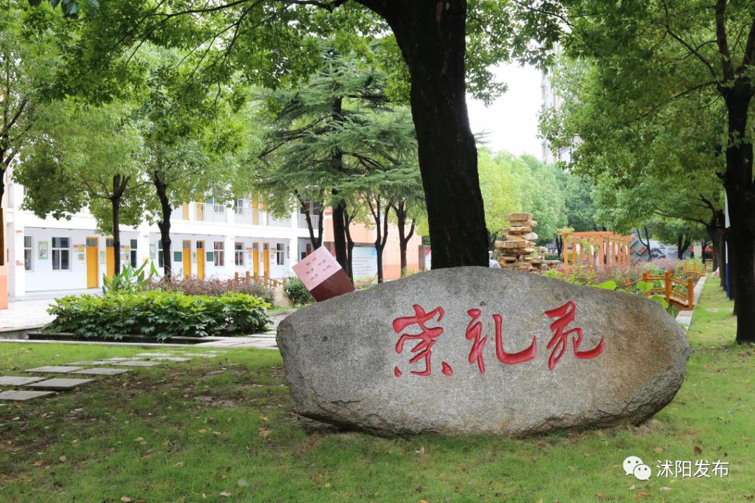 市中区小学学校排名一览表,各区重点小学排名