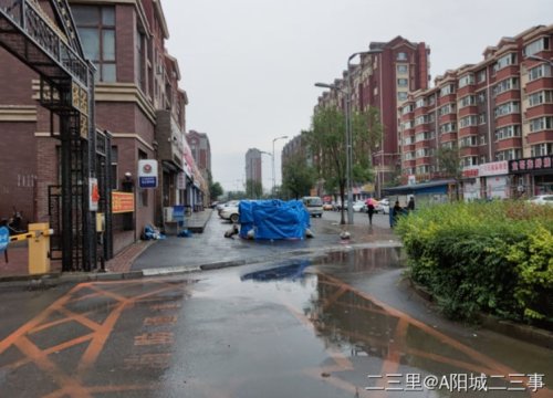 对抗“巴威”，他们竟然“拴”大树、电梯停运、连夜清理铁皮