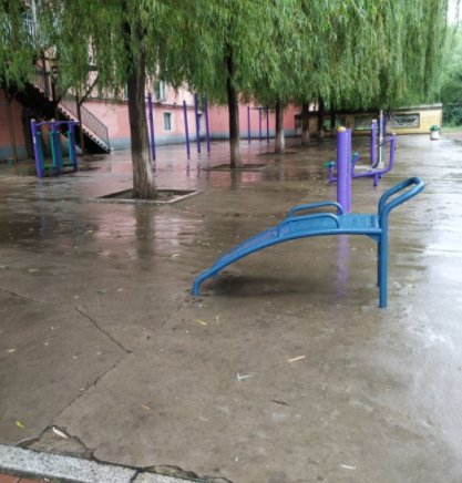 对抗“巴威”，他们竟然“拴”大树、电梯停运、连夜清理铁皮