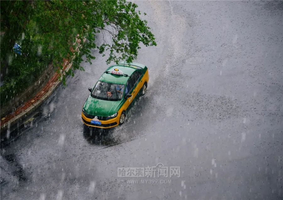 “巴威”到哈即“停编”，但是暴雨没完丨有站点累计降水量超70毫米