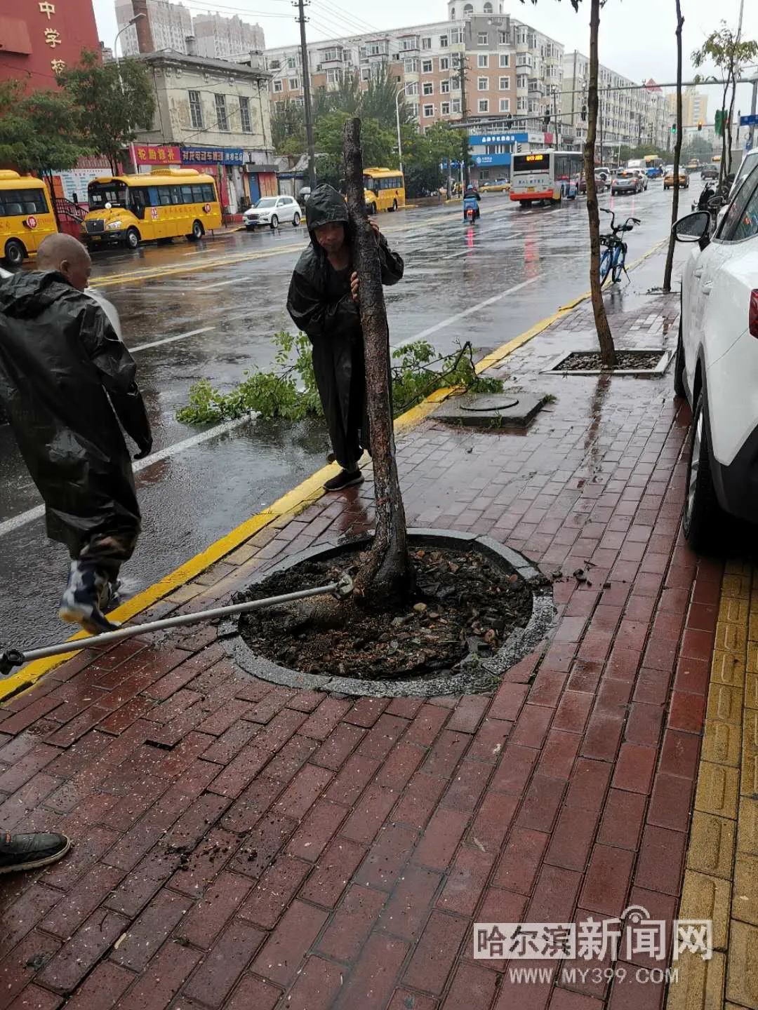 “巴威”到哈即“停编”,但是暴雨没完丨有站点累计降水量超70毫米