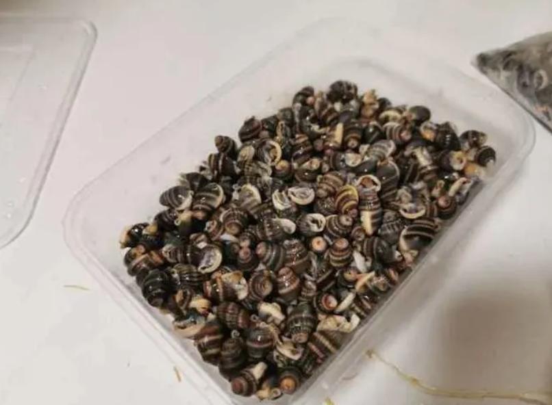 今有大雨！卡卡权益日10点各类品牌好券0元秒、1元购！小心这种“美食”一颗就能致命！