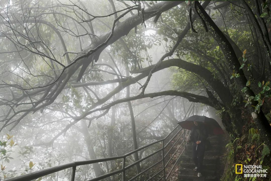 江郎山，刺破天