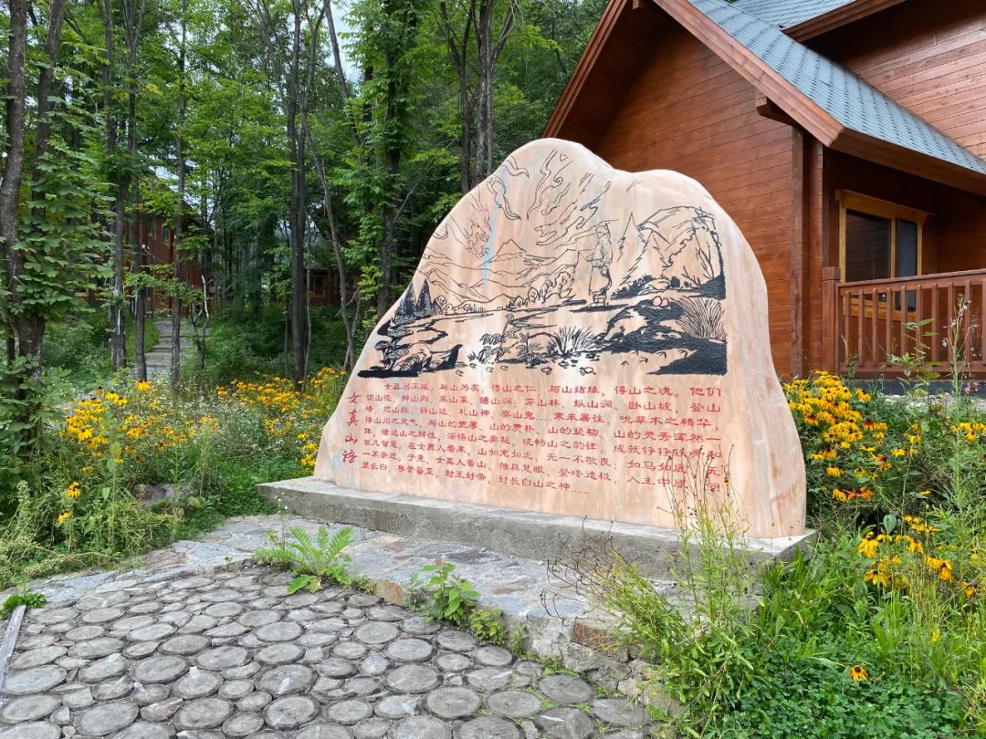 去长白山哪家酒店度假最好,长白山最佳观景酒店