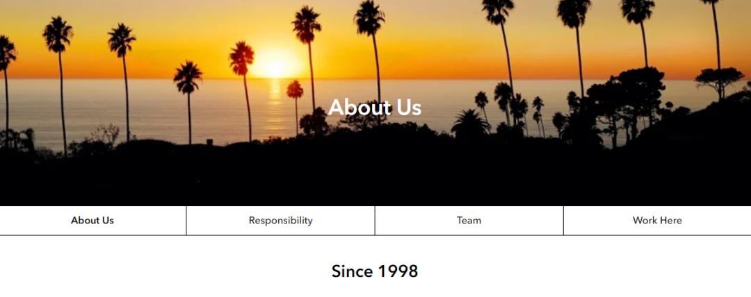 nixon怎么样,nixon全系列